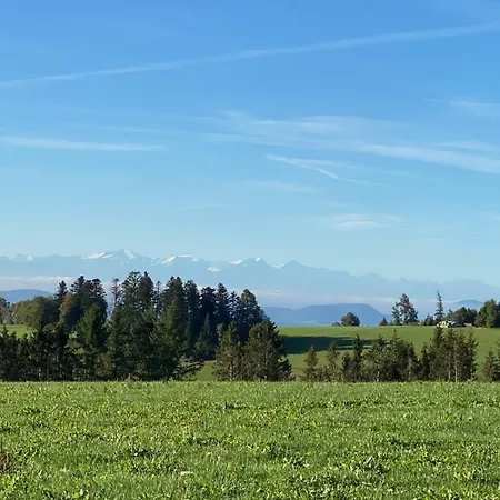 Schwarzwaldnest Dachsberg Lejlighed